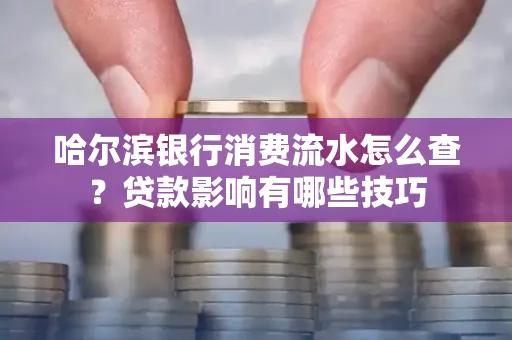 哈尔滨银行消费流水怎么查?贷款影响有哪些技巧
